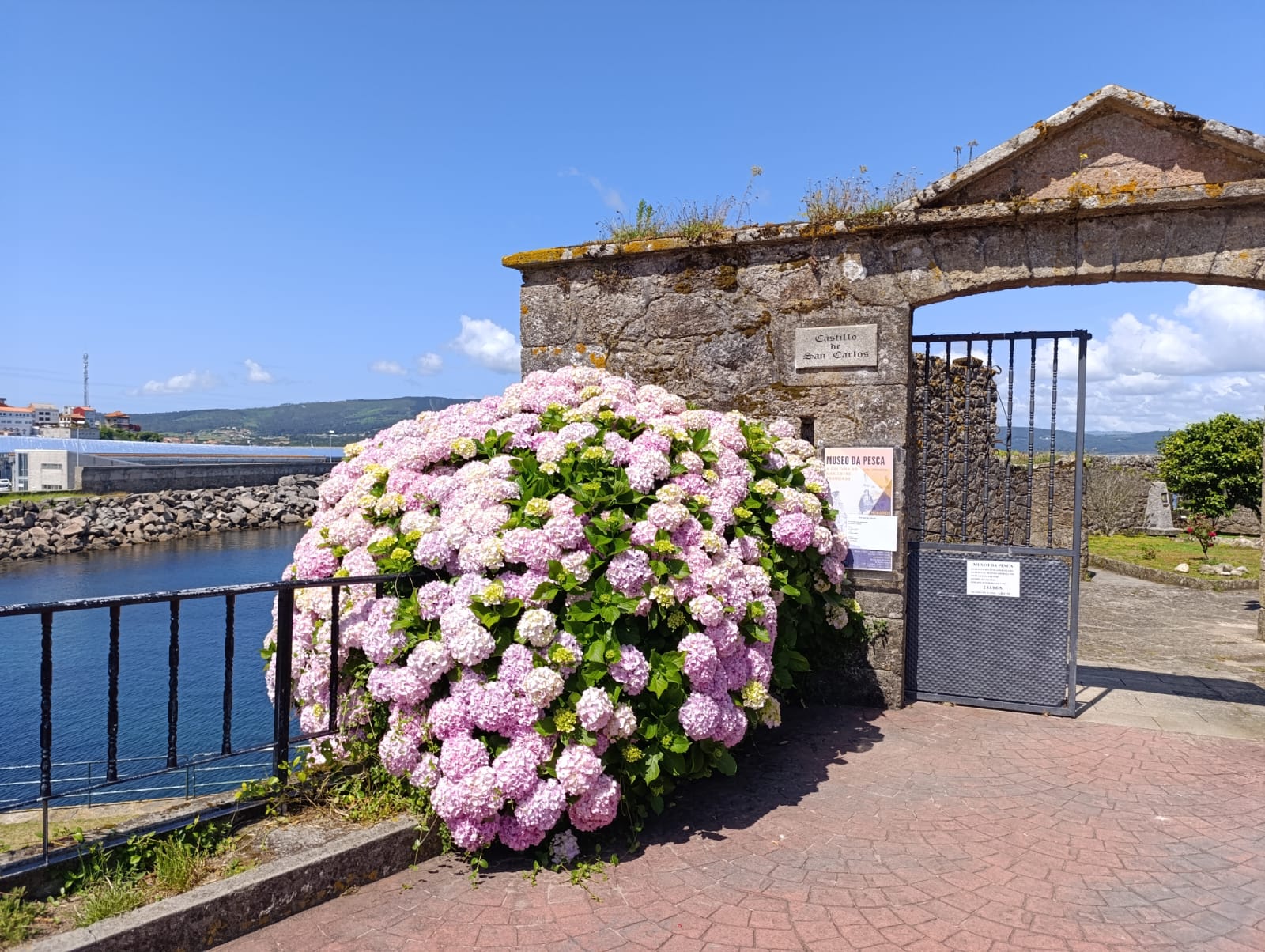 Museo de la Pesca Finisterre 1